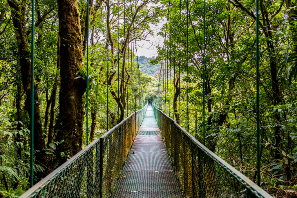 Hanging Bridges in Cloudforest Costa Rica