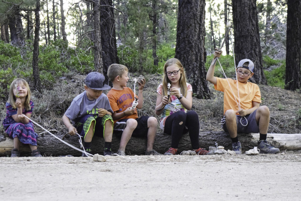 Kids playing with rocks, sticks and rope while camping