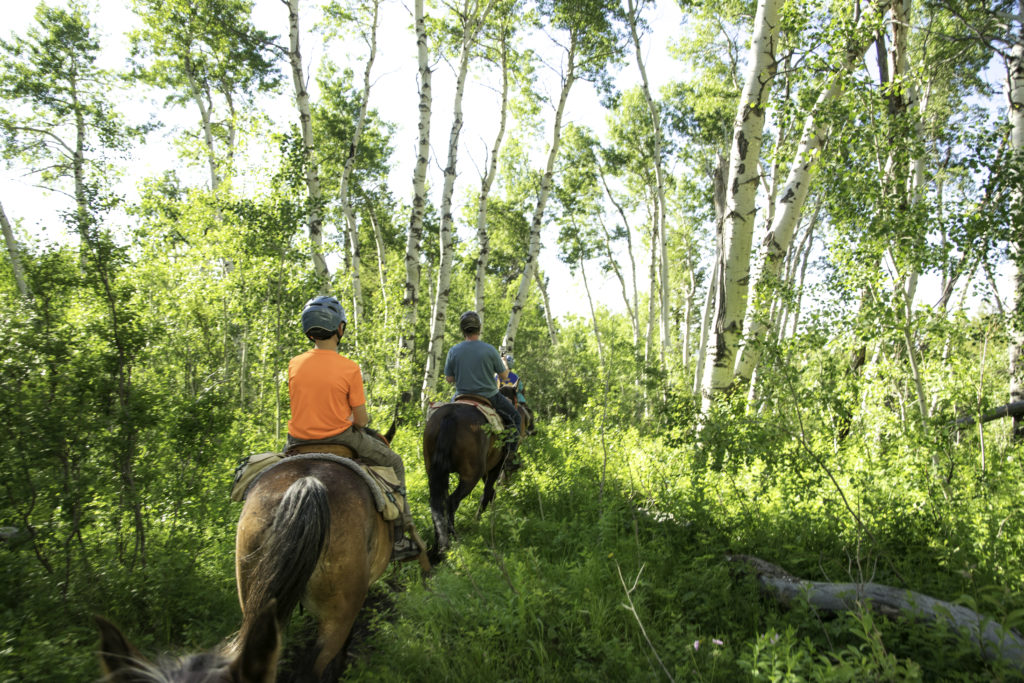 Horseback riding in Teton Valley, Idaho