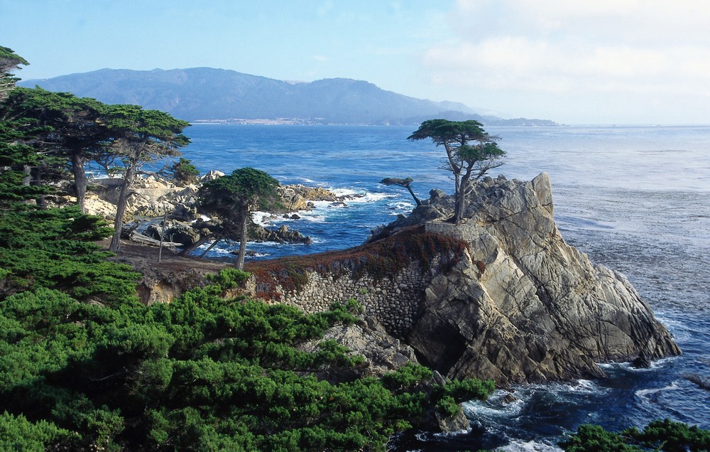 The Lone Cypress along the 17 Mile Drive, Monterey, California