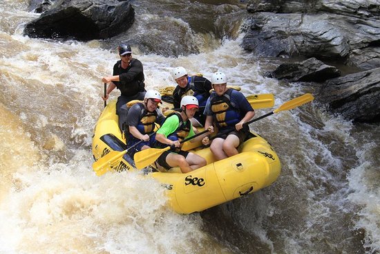 Rafting down the Chattooga River with Southeastern Expeditions