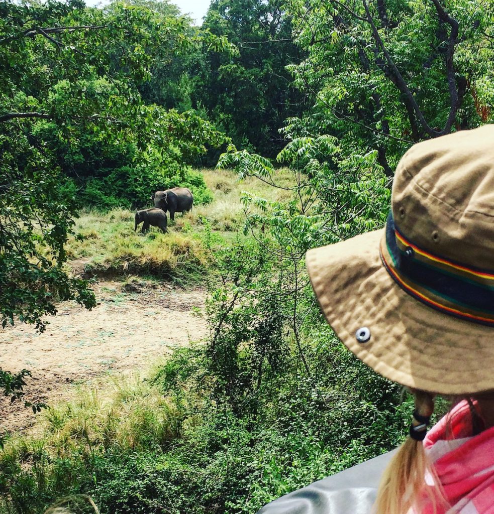 Elephant safari, Sri Lanka