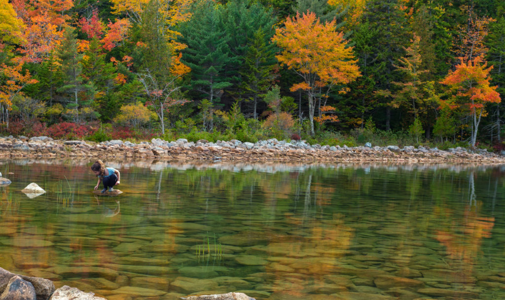 Kid playing in water at Acadia National Park, Maine in the autumn
