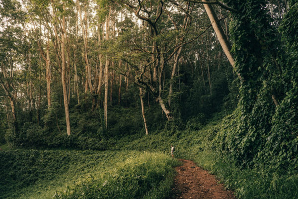 Woman hiking along the Kuilau Ridge Trail, Kauai