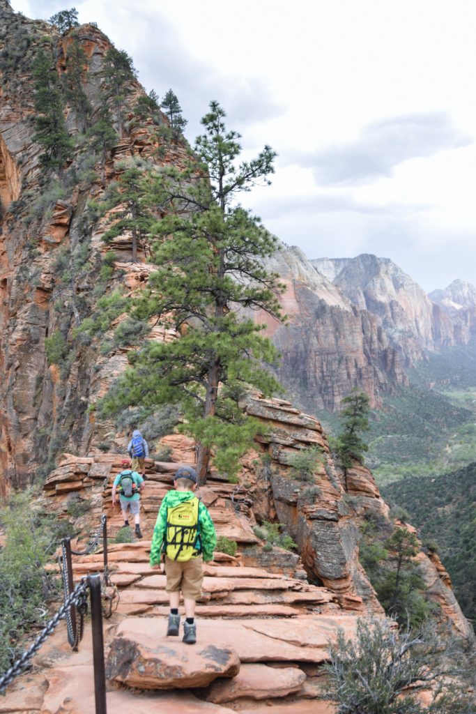 Hiking up the spine to Angel's Landing, Zion National Park, Utah
