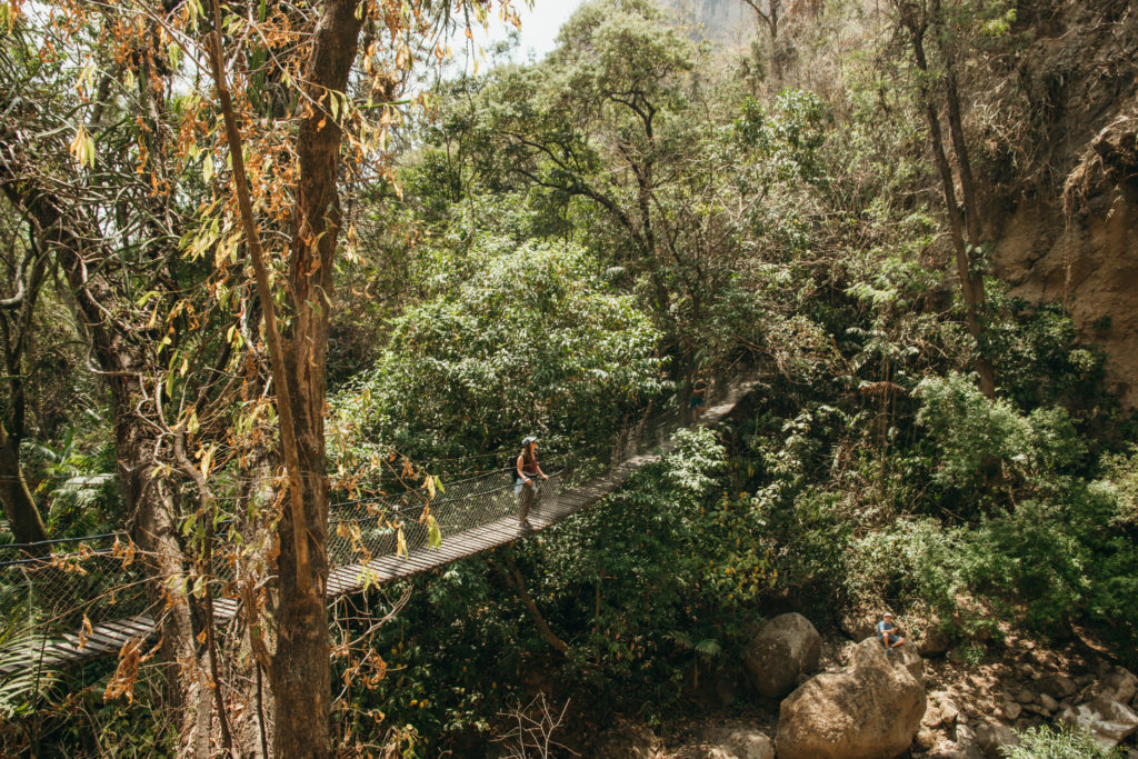 The hanging bridges of Reserva Natural Atitlan, Panajachel, Guatemala
