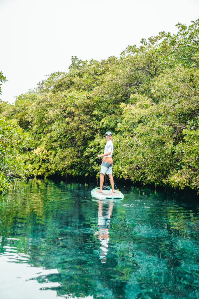 Kid paddleboarding in Casa Cenote, Mexico