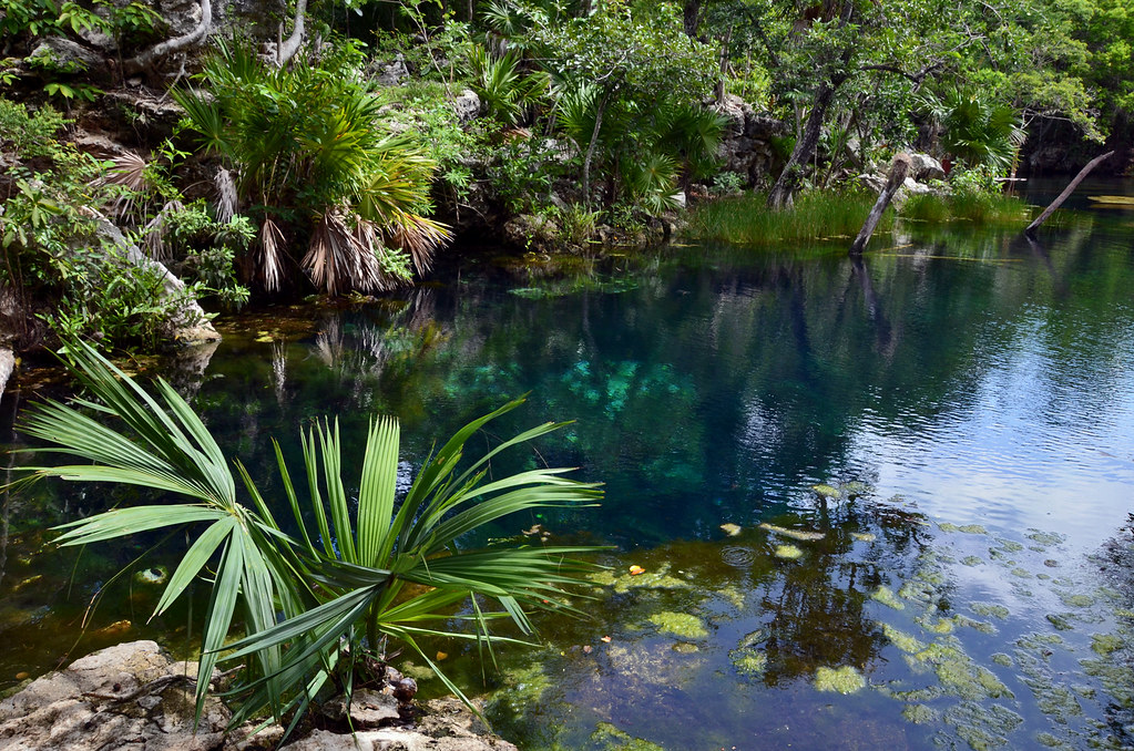 Cenote Jardin del Eden, Playa del Carmen, Mexico
