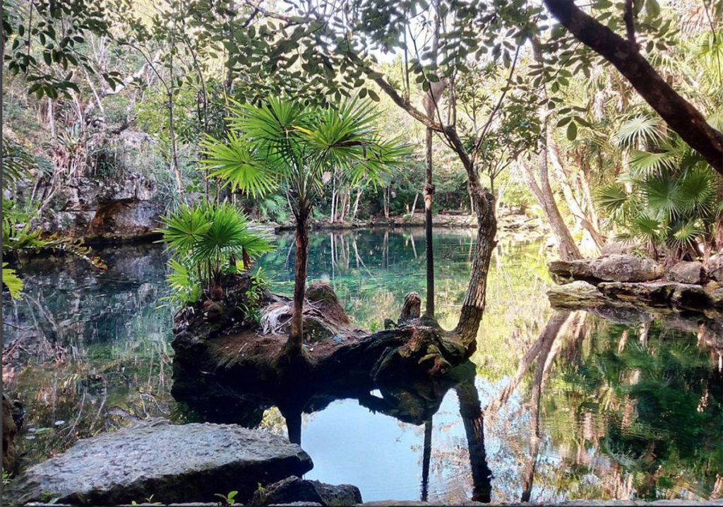 Beautiful Cenote Chikin Ha, Mexico