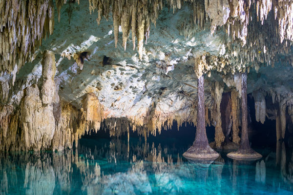 18 Top Cenotes for Kids in Mexico - Adventure Together