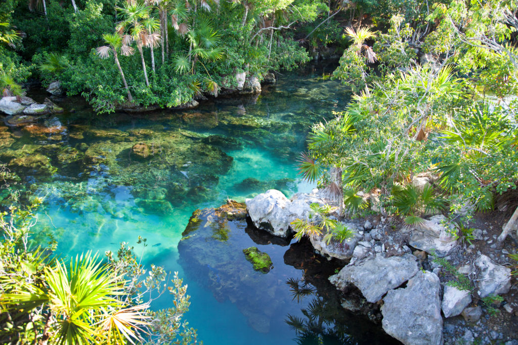Cenote Azul, Playa del Carmen, Mexico
