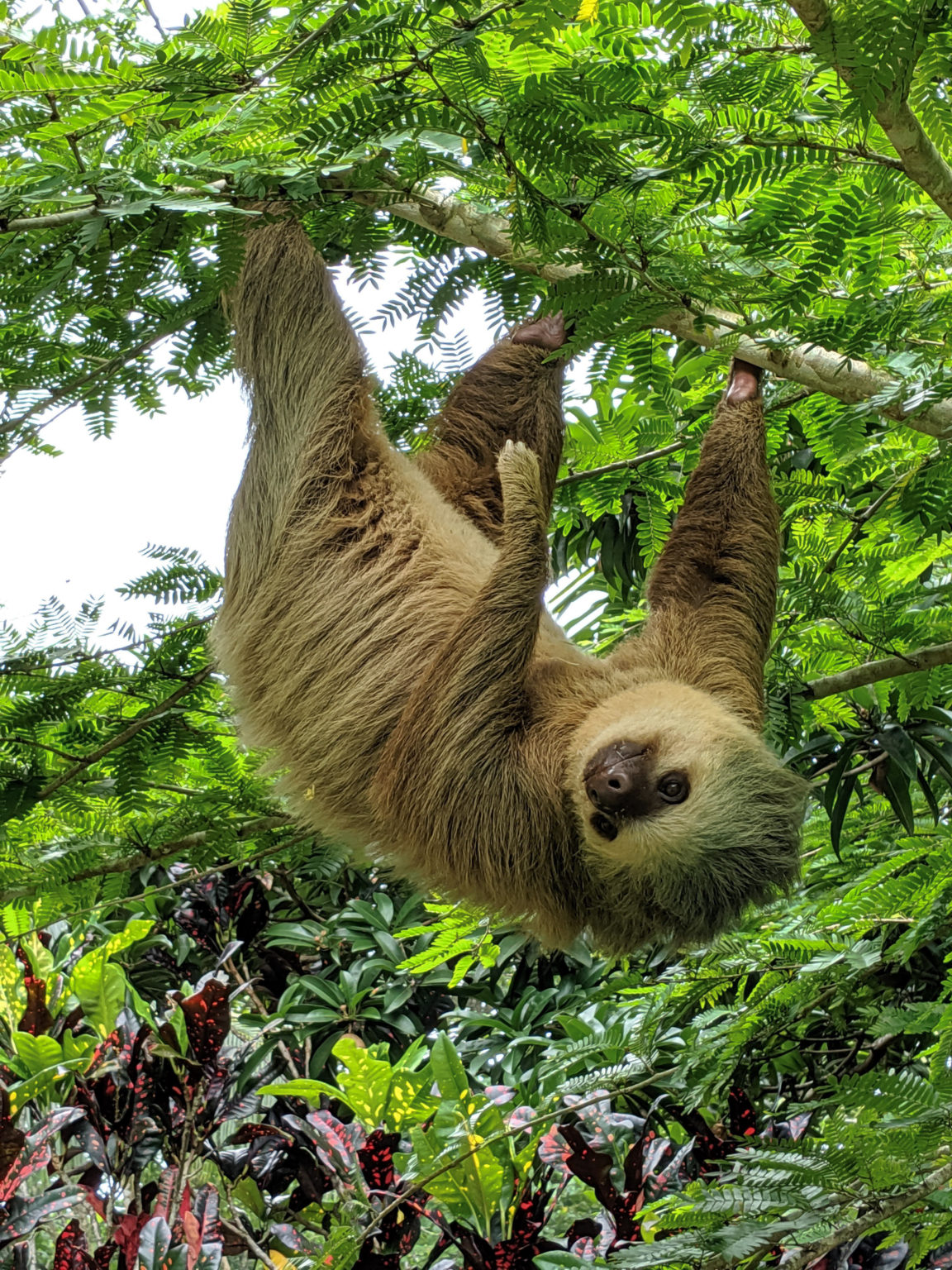 12 Amazing Family Adventures in Bocas del Toro, Panama - Adventure Together