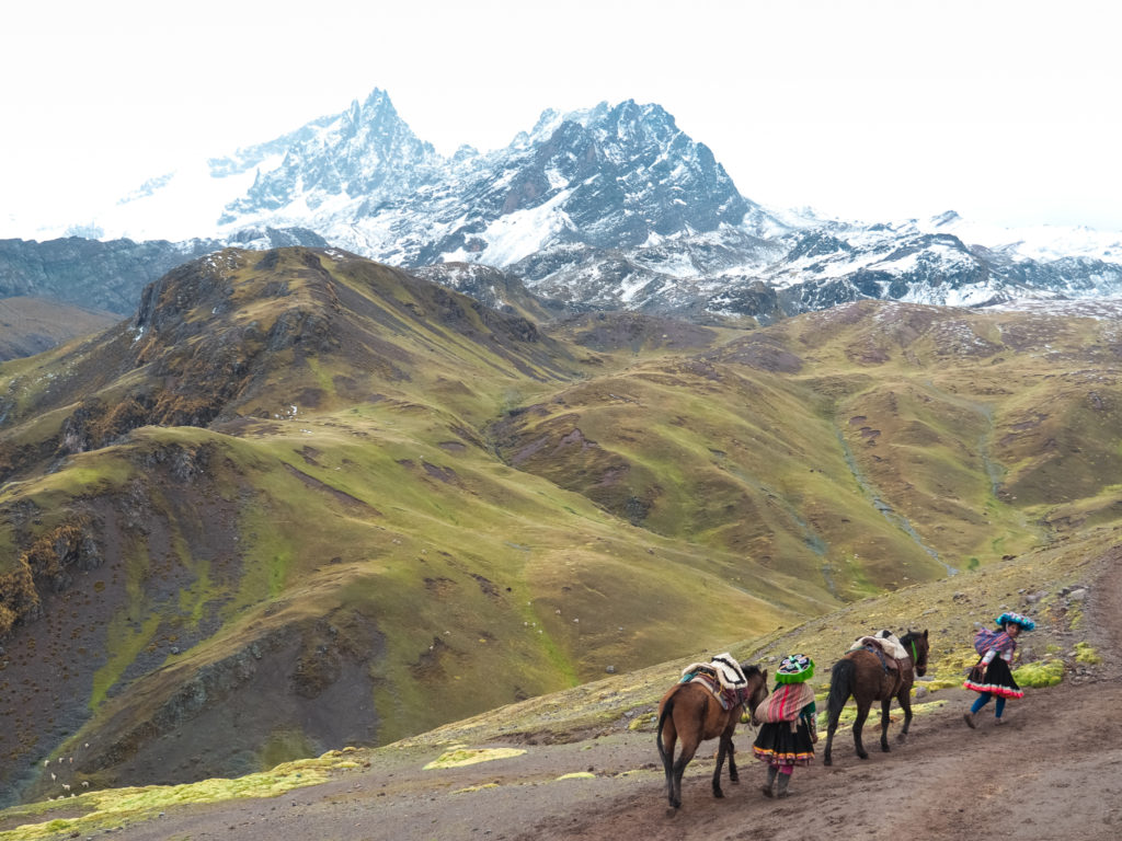 Horses along the trail to Rainbow Mountain, Peru
