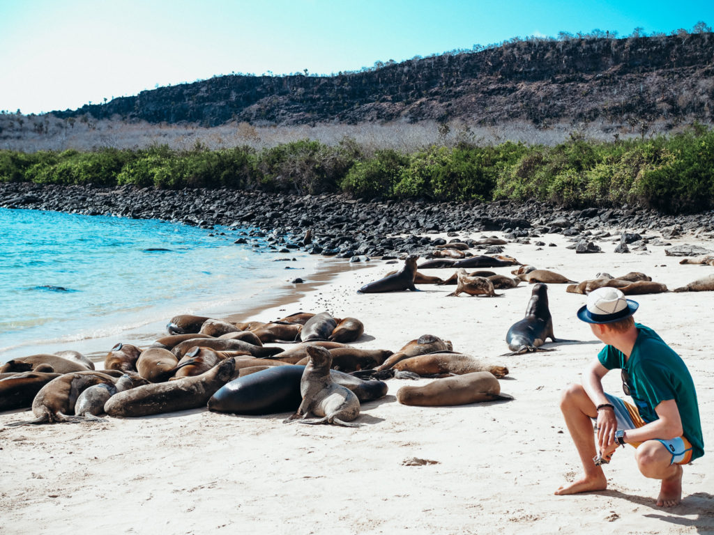 Teen boy looking at sea lions on beach, Galapagos Islands, Ecuador