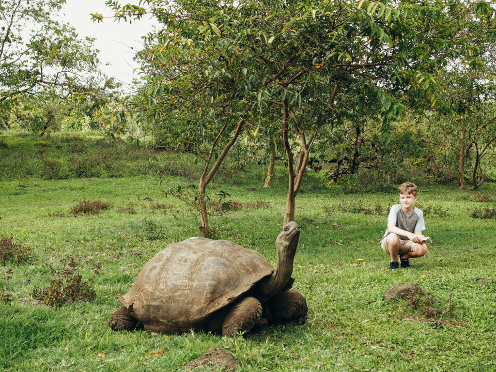 Boy with giant tortoise at El Chato Reserve, Santa Cruz, Galapagos, Ecuador